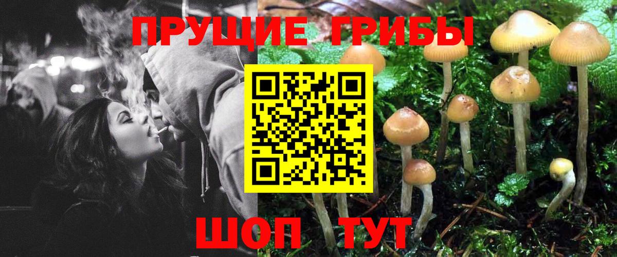 Псилоцибиновые грибы MAGIC MUSHROOMS  Галлюциногенные грибы мухоморы  Шебекино  Вход с VPN 