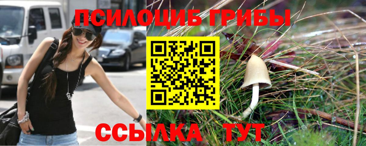 Псилоцибиновые грибы прущие грибы Шебекино