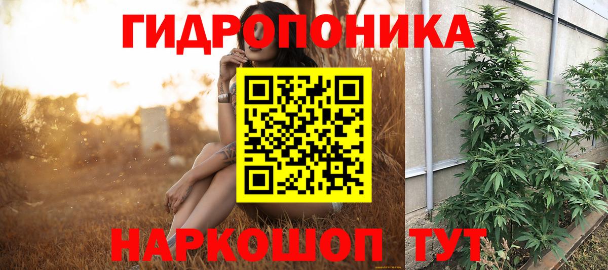 Шебекино  Канабис LSD WEED  Марихуана семена  МАРИХУАНА Ganja  Вход с VPN  Бошки Шишки планчик 